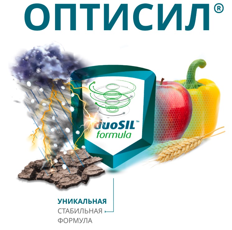 optysil intermag